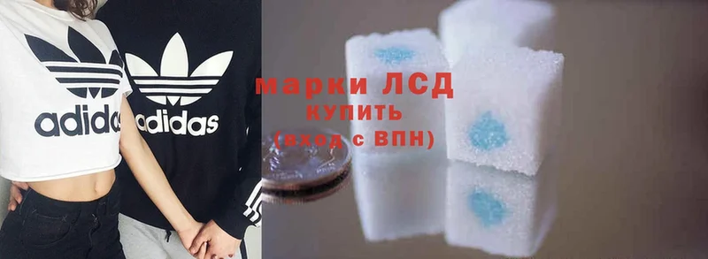 Лсд 25 экстази ecstasy  купить наркотики цена  Богородск 